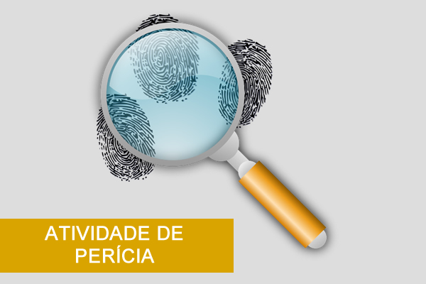 Atividade de perícia